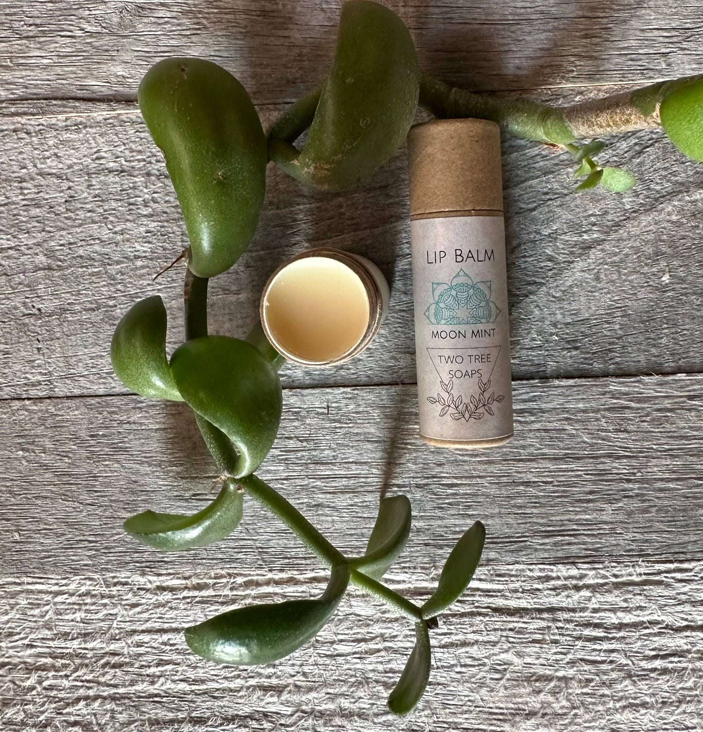 Moon Mint ~ Lip Balm ~ Vegan