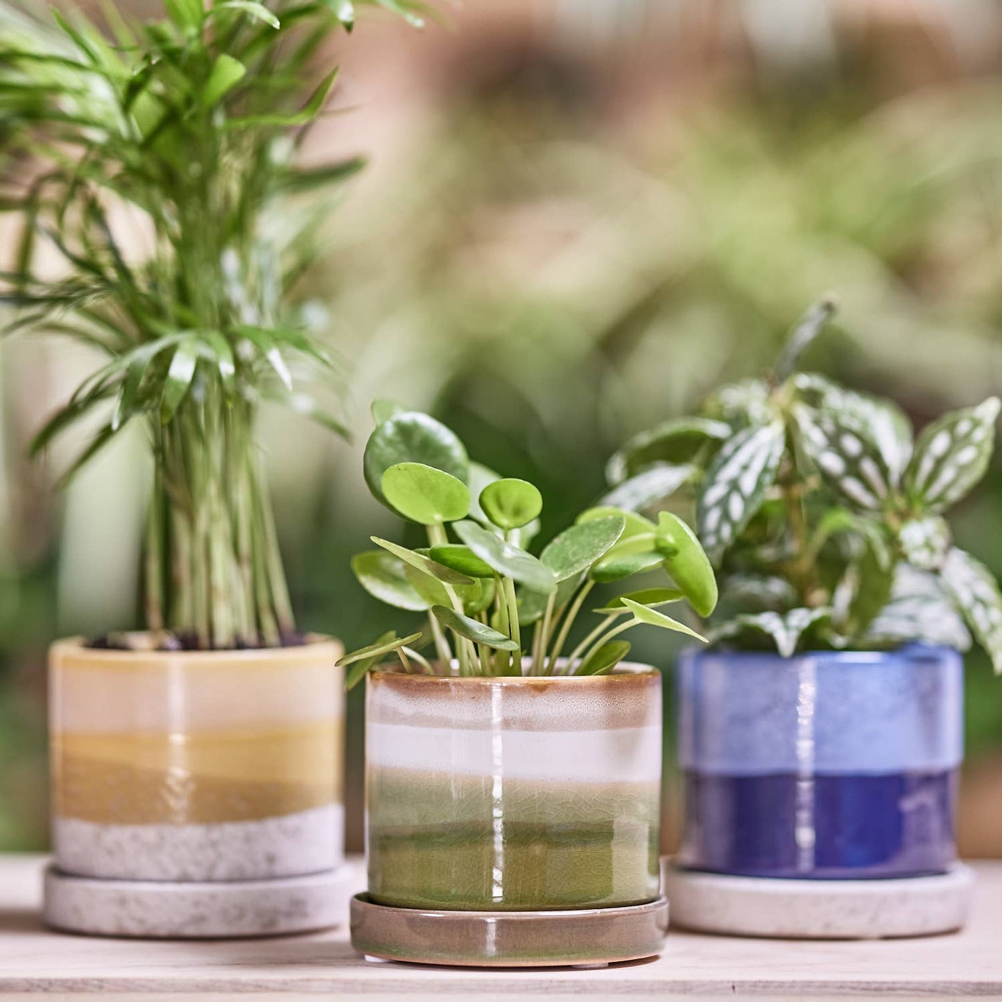 Minute Ceramic Plant Pots Indoor: Green Layers / 5"