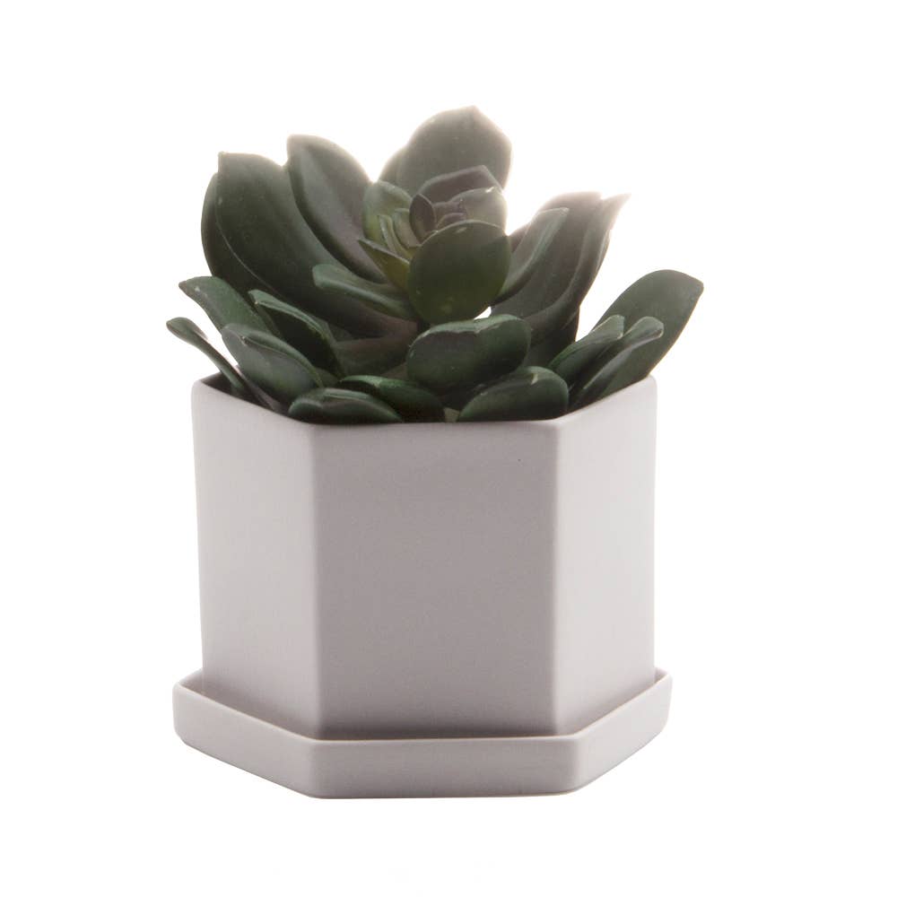 Hexi Ceramic Pots and Planters: White / 3.5"