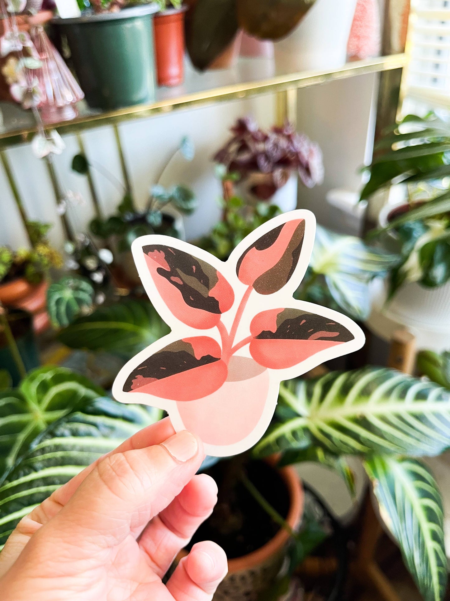 Pink Princess Philodendron Plant Sticker