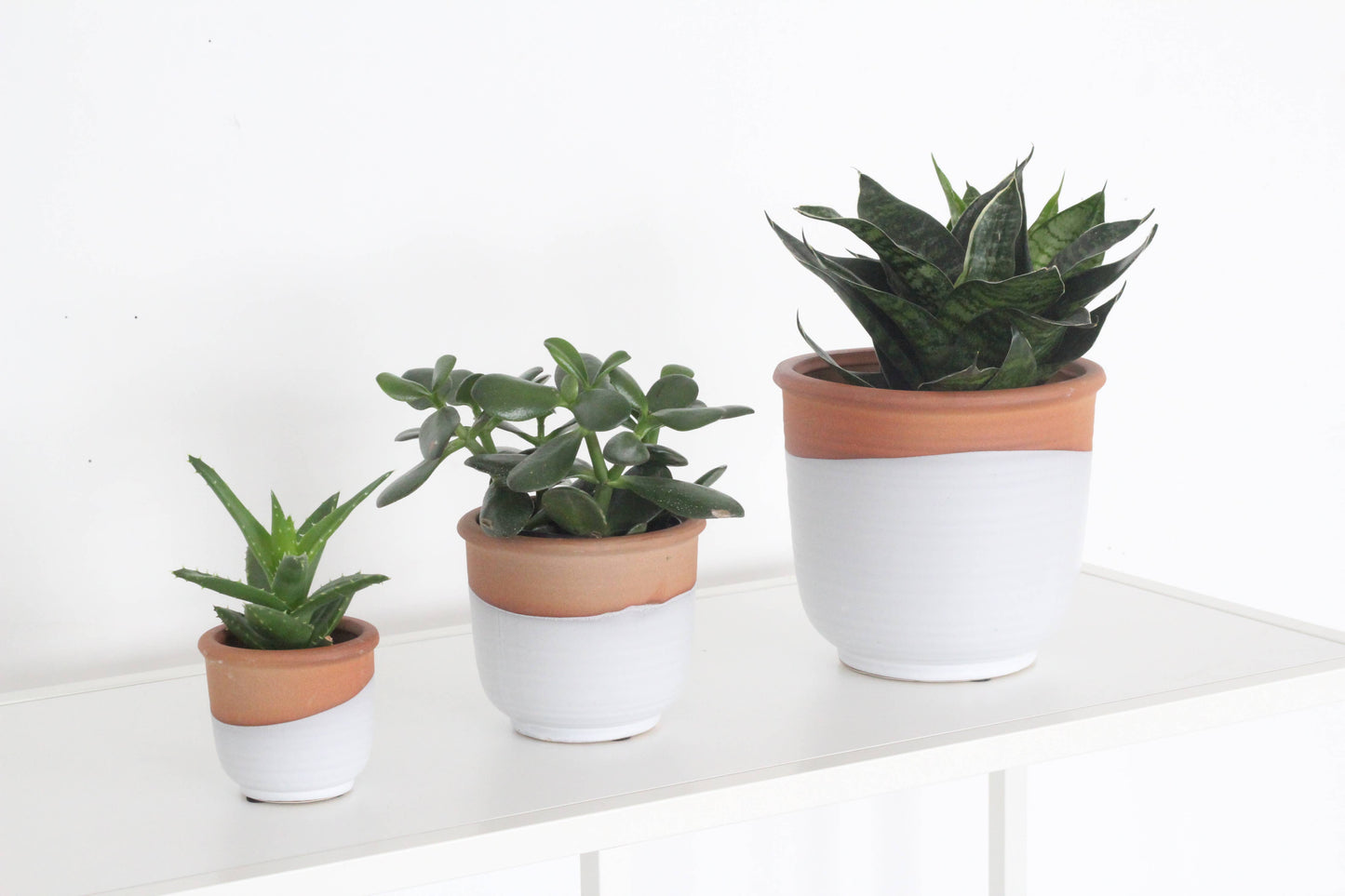 Small Terracotta and Matte White Boho Ceramic Planter Pot: 5