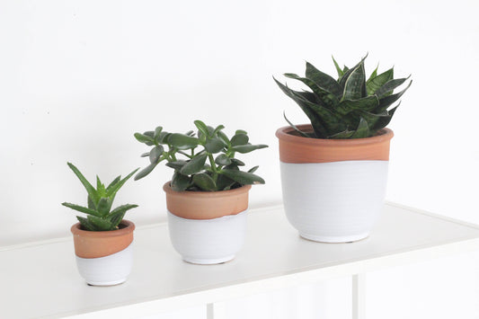 Small Terracotta and Matte White Boho Ceramic Planter Pot: 5