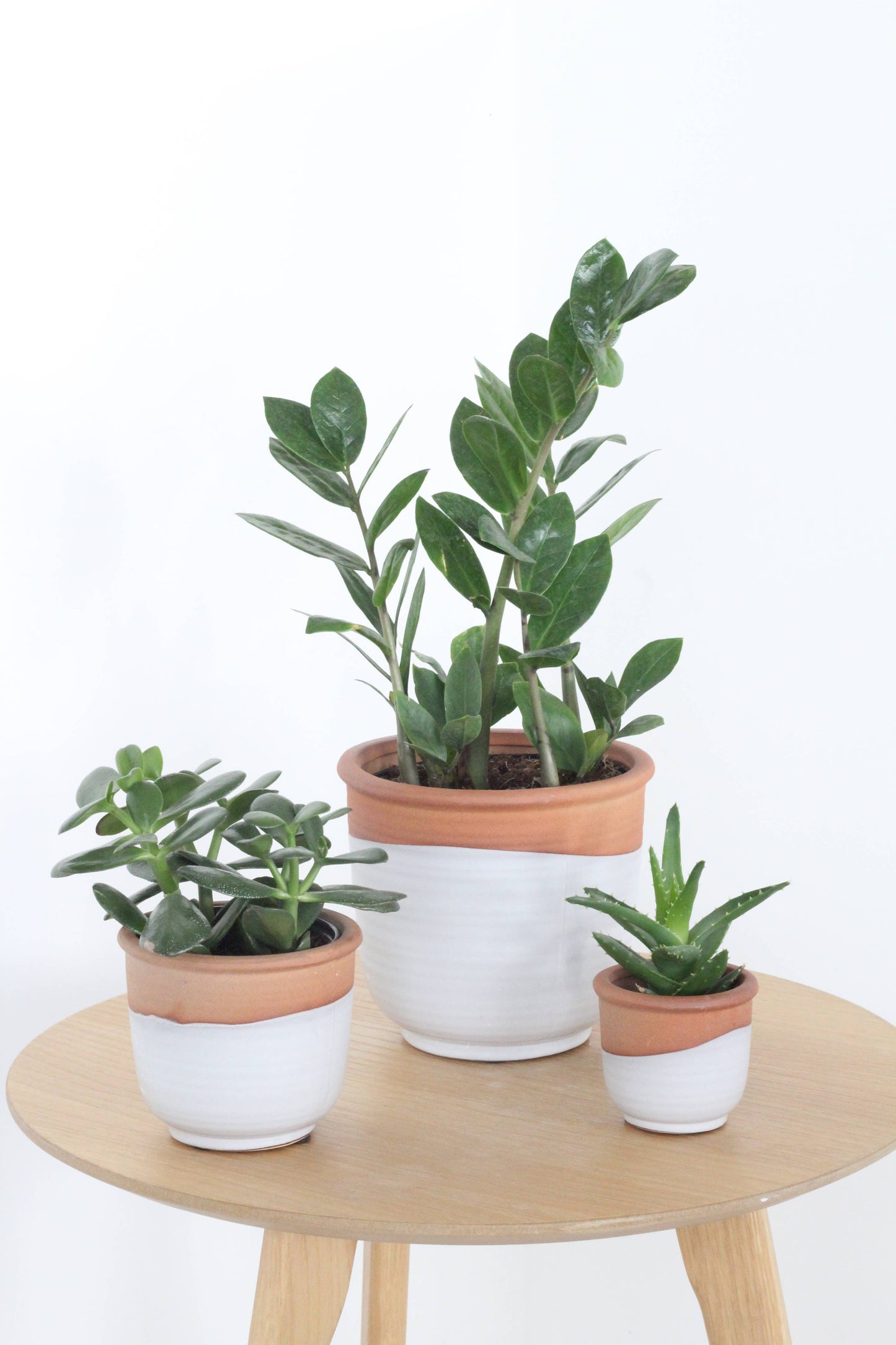 Small Terracotta and Matte White Boho Ceramic Planter Pot: 5