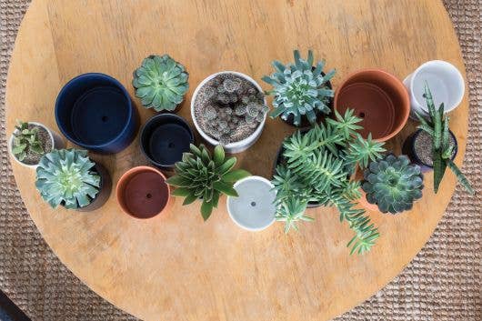 Romey Pot and Saucer: 4.75" Pot / Black