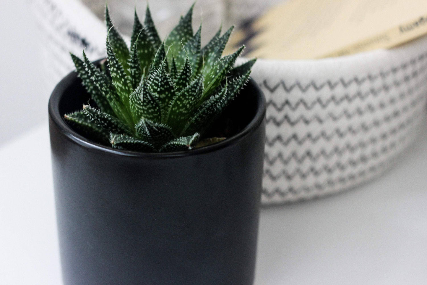 Matte Black Ceramic Cylinder Planter: 5"