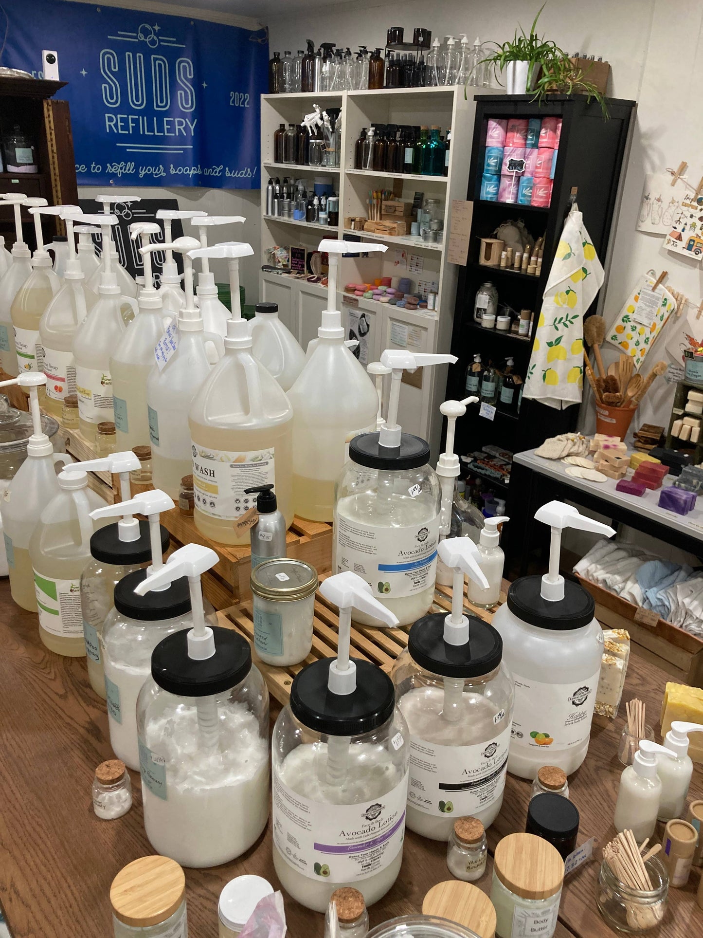 Avocado Lotion for Face and Body- Mild Formula, Paraben-Free: Rosemary Mint / refill bulk