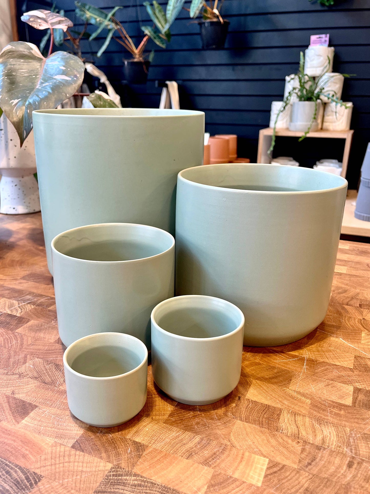 Round Green Pot: 4.75" Pot