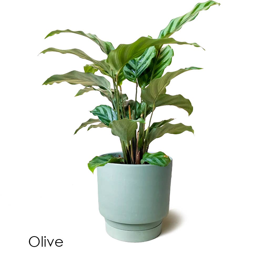 Casey Pots and Planters: White