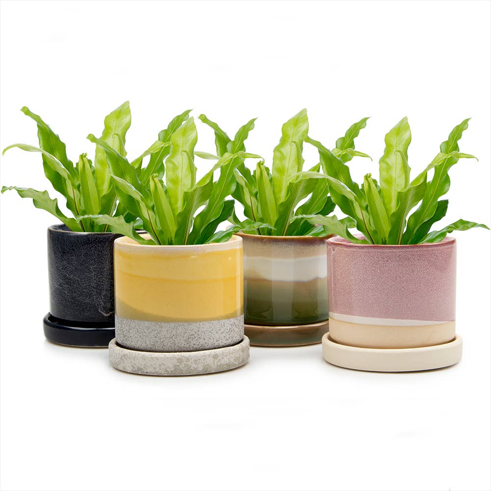 Minute Ceramic Plant Pots Indoor: Green Layers / 5"