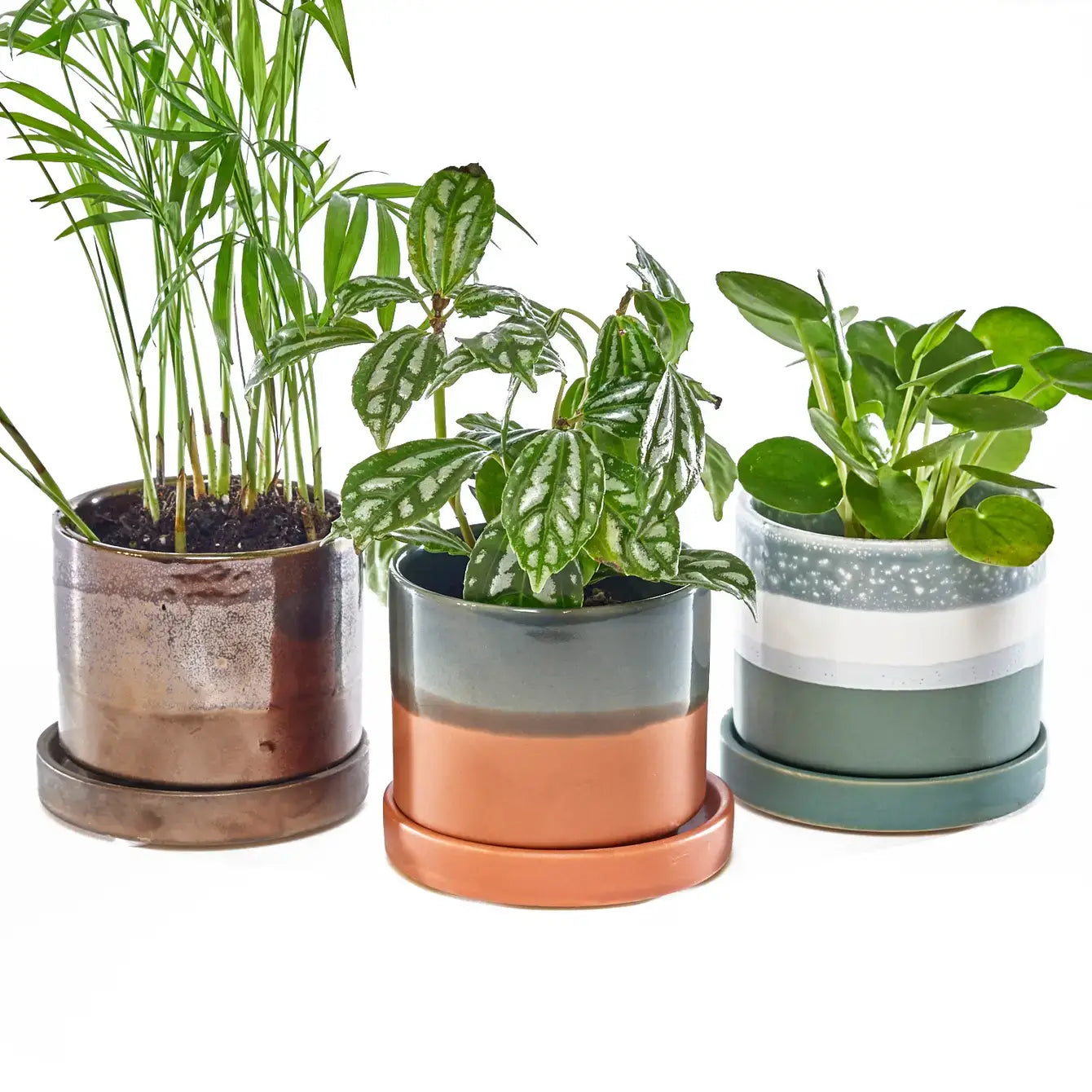 Minute Ceramic Plant Pots Indoor: Green Layers / 5"