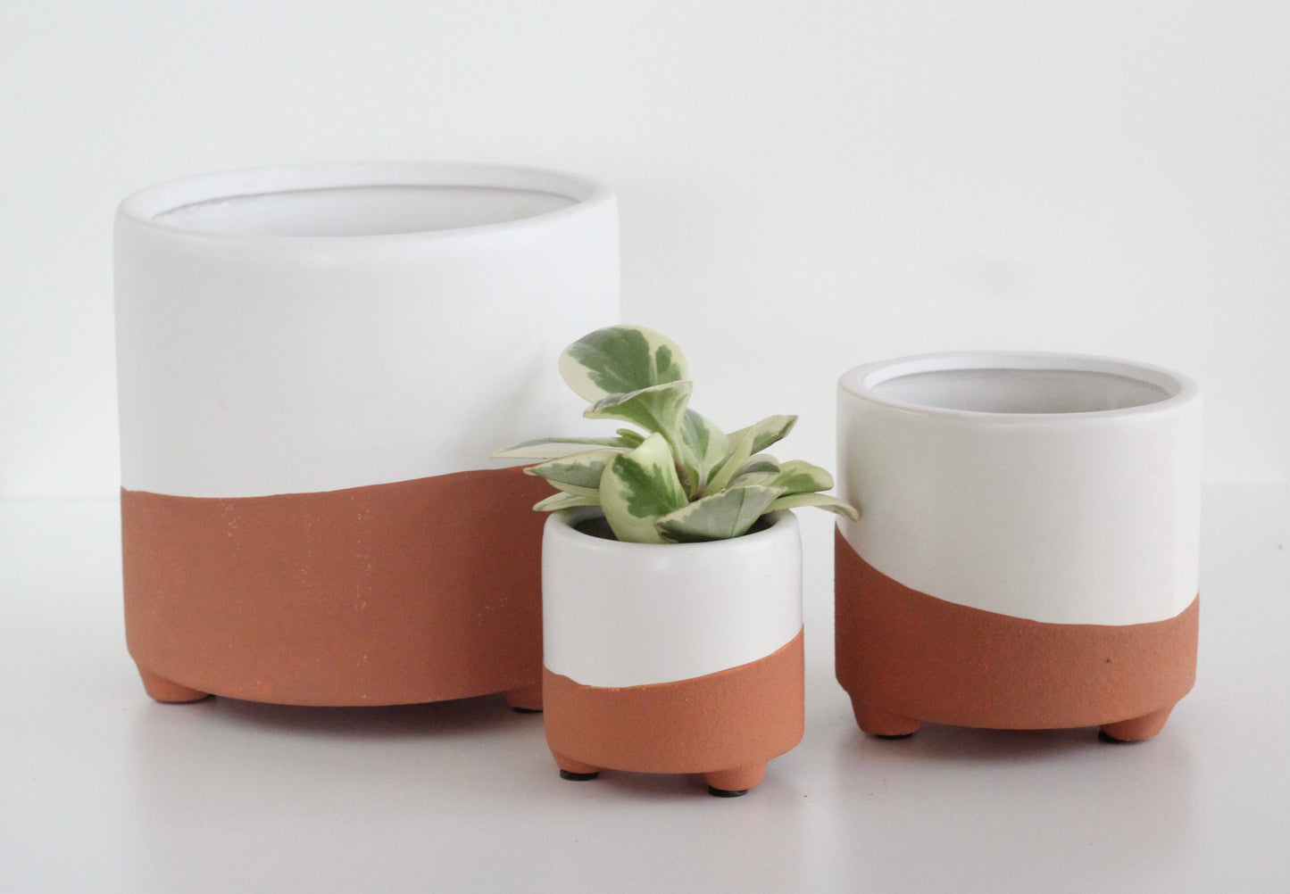 Large Terracotta and White Footed Boho Minimal Planter Pot: 7"