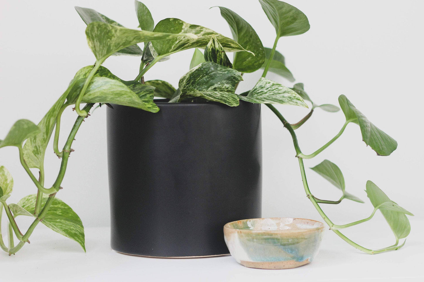 Matte Black Ceramic Cylinder Planter: 5"