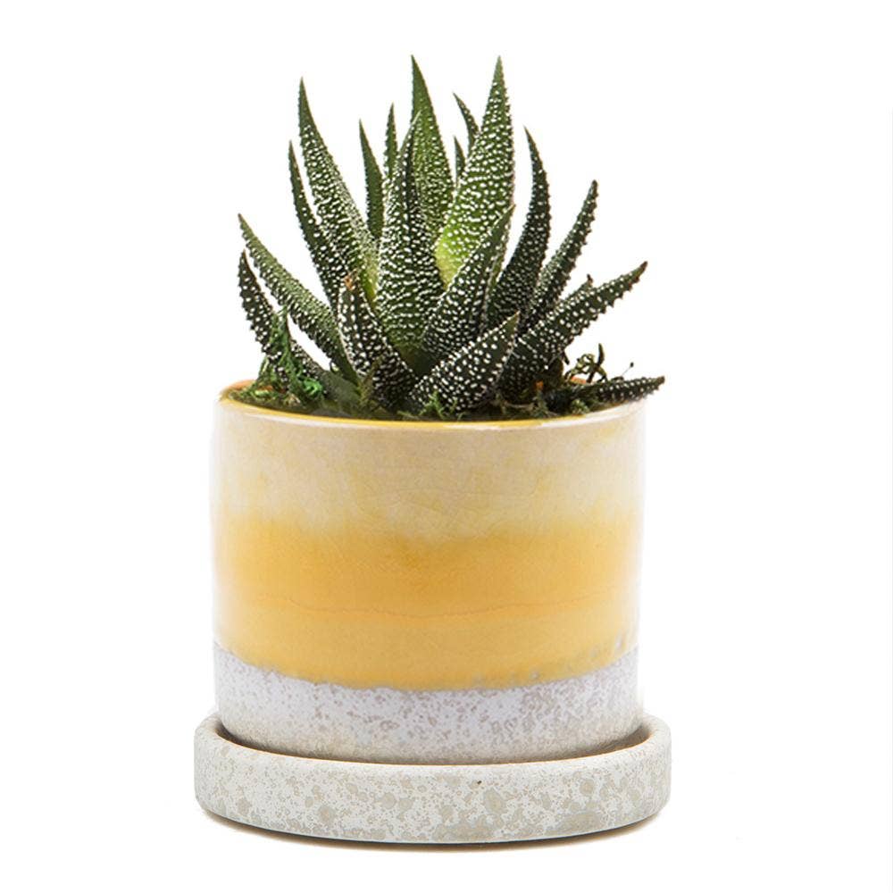 Minute Ceramic Plant Pots Indoor: Green Layers / 5"