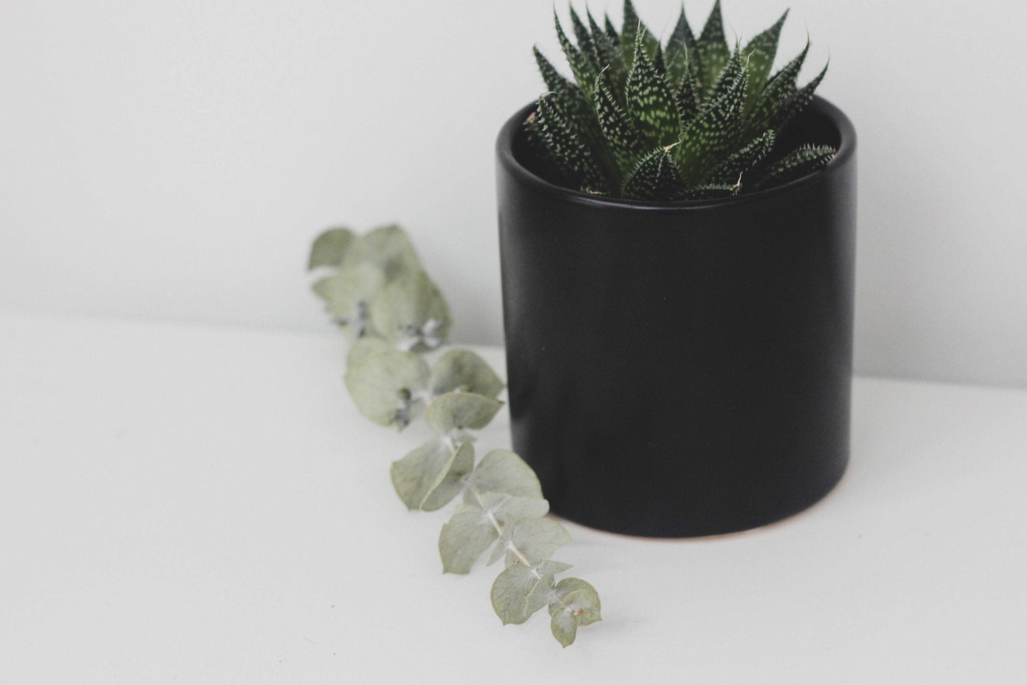 Matte Black Ceramic Cylinder Planter: 5"