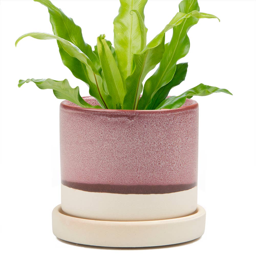 Minute Ceramic Plant Pots Indoor: Green Layers / 5"