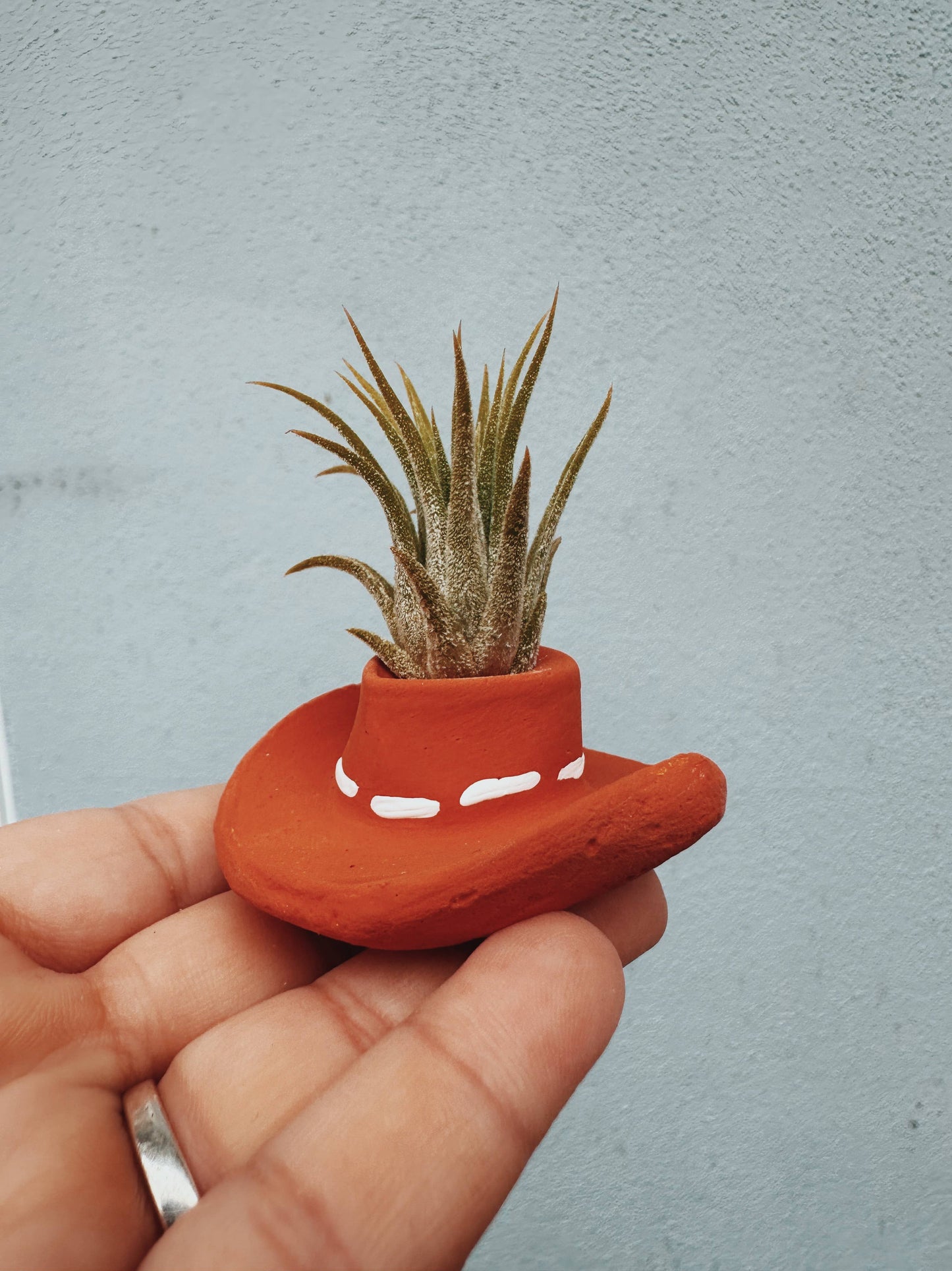 Terracotta Cowboy Hat Mini Planter with Air Plant