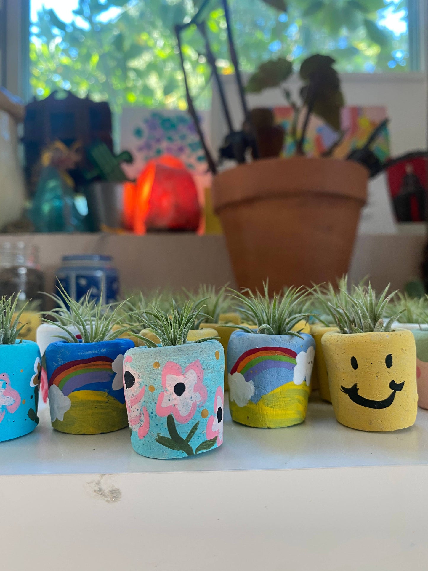 Desert Snow Mini Planter and Plant