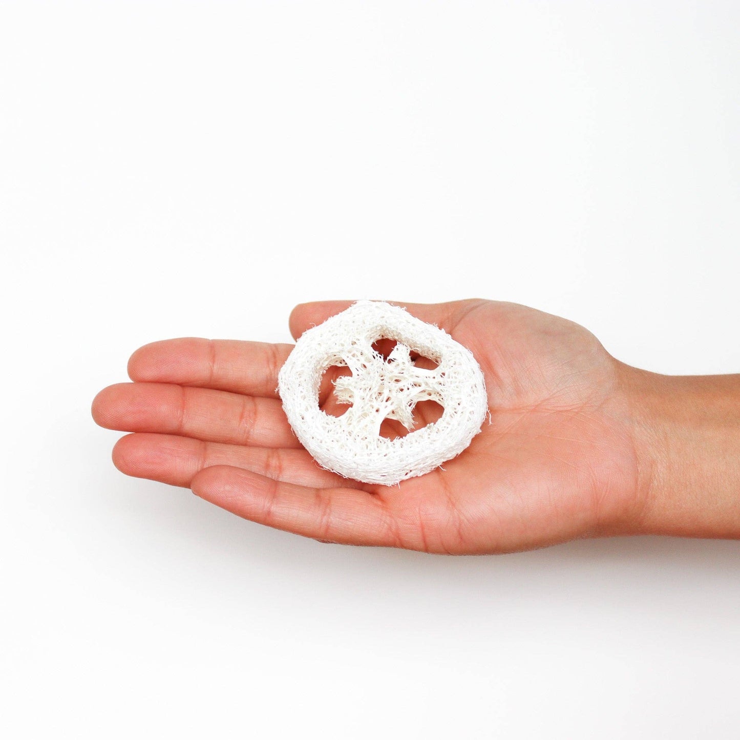 Loofah Single Piece | Loofah Slice/Soap Riser: Medium Loofah