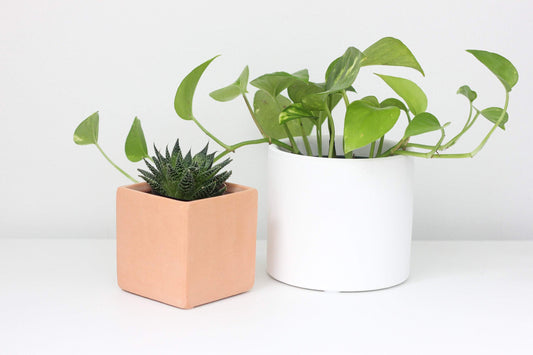 Matte White Terracotta Cylinder Planter Pot