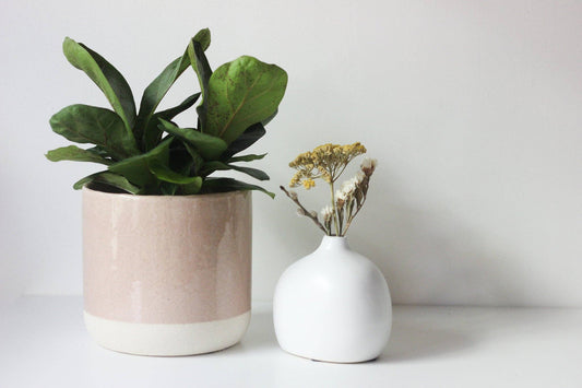 Large Blush Pink Ceramic Planter Pot with Crackle Glaze: 7"