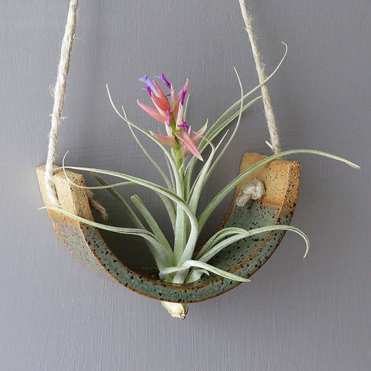 Small Hanging Air Plant Cradle - Gunmetal Green Planter Vase