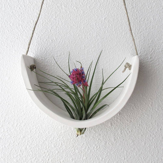 Hanging Ceramic Air Plant Cradle White Earthenware