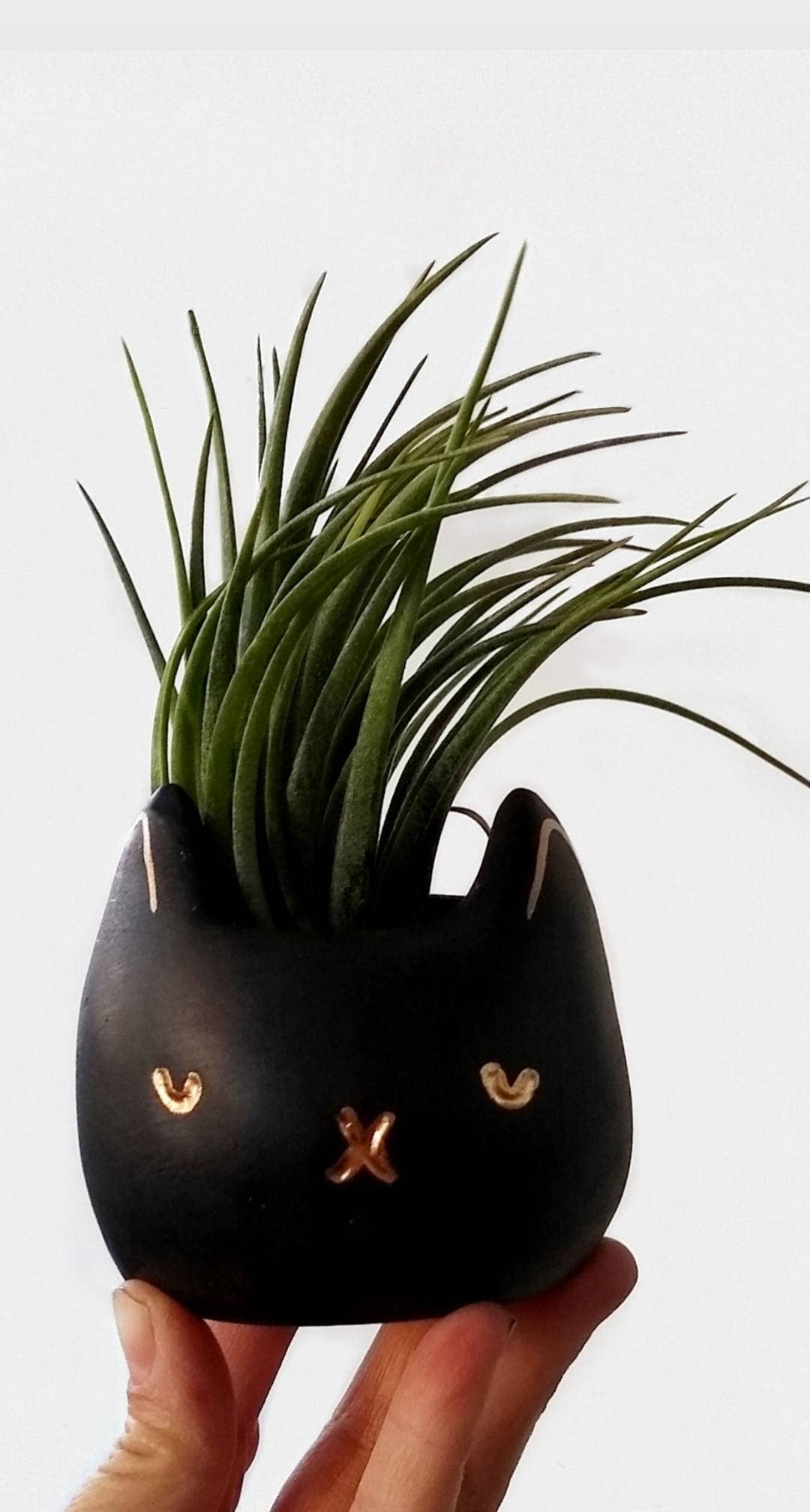 Cat Planter