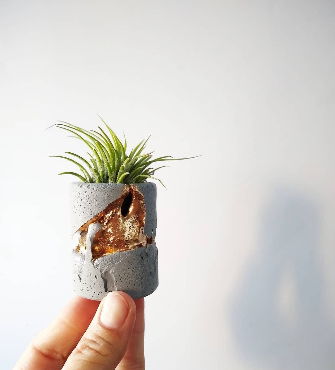 Gray with Gold-Perfectly Imperfect Mini Planter(w/AIR PLANT)