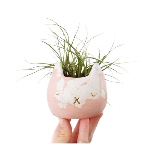 Cat Planter
