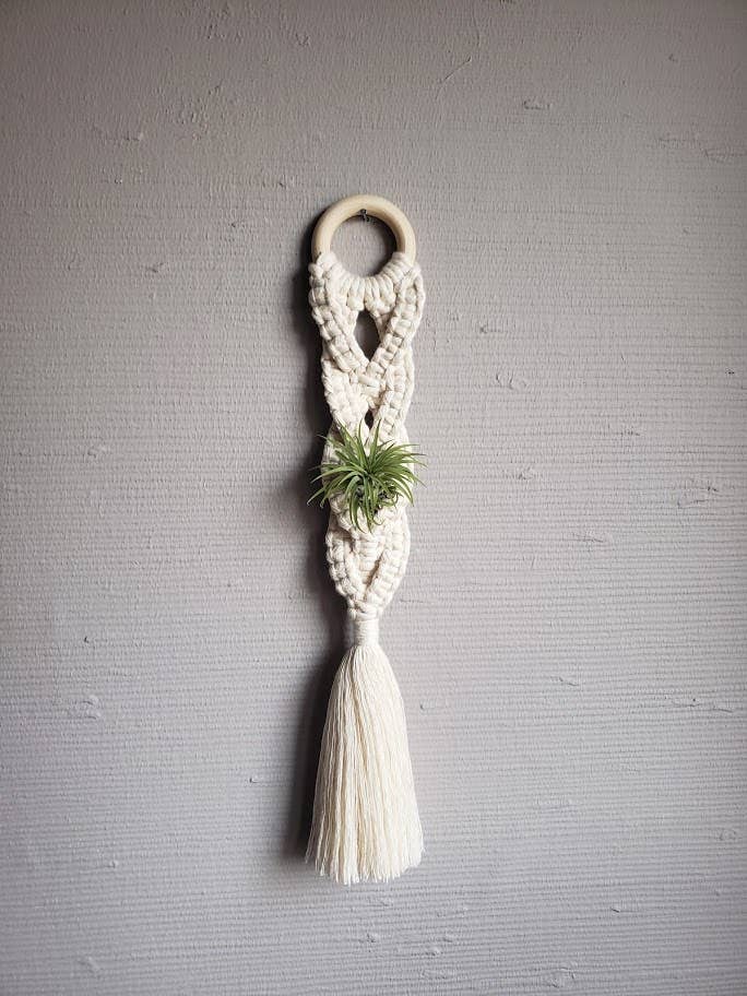 Air Plant Hanger Plaited - Brushed - White
