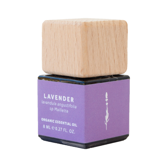 Lavender Essential Oil - Organic