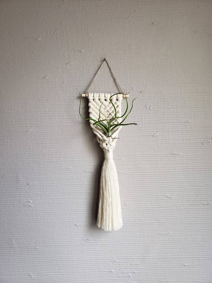 Air Plant Hanger Mermaid Tail - White
