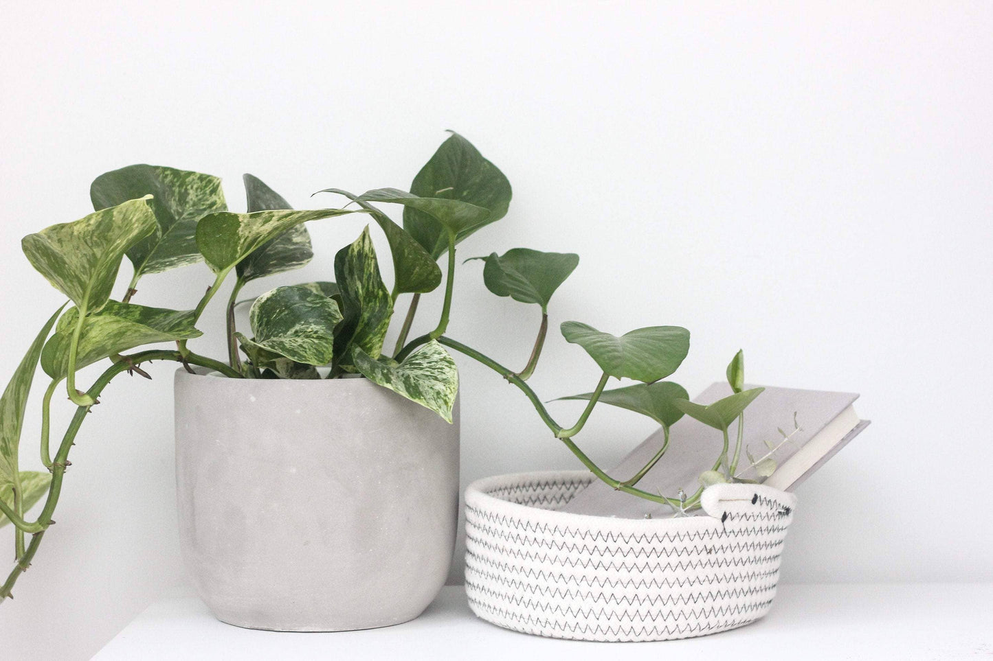 Round Concrete Indoor Planter Pot: 5"
