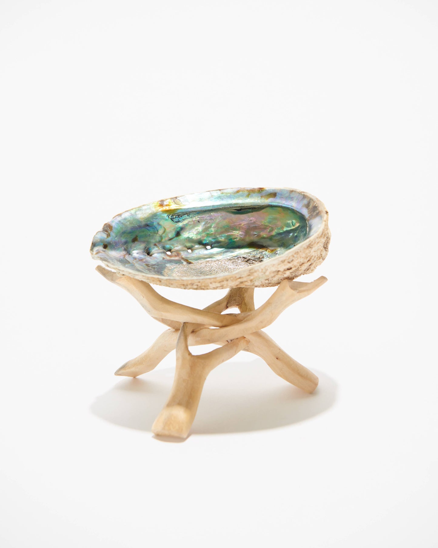 Abalone Shell Stand - Cobra Tripod - Wooden Tripod Stand