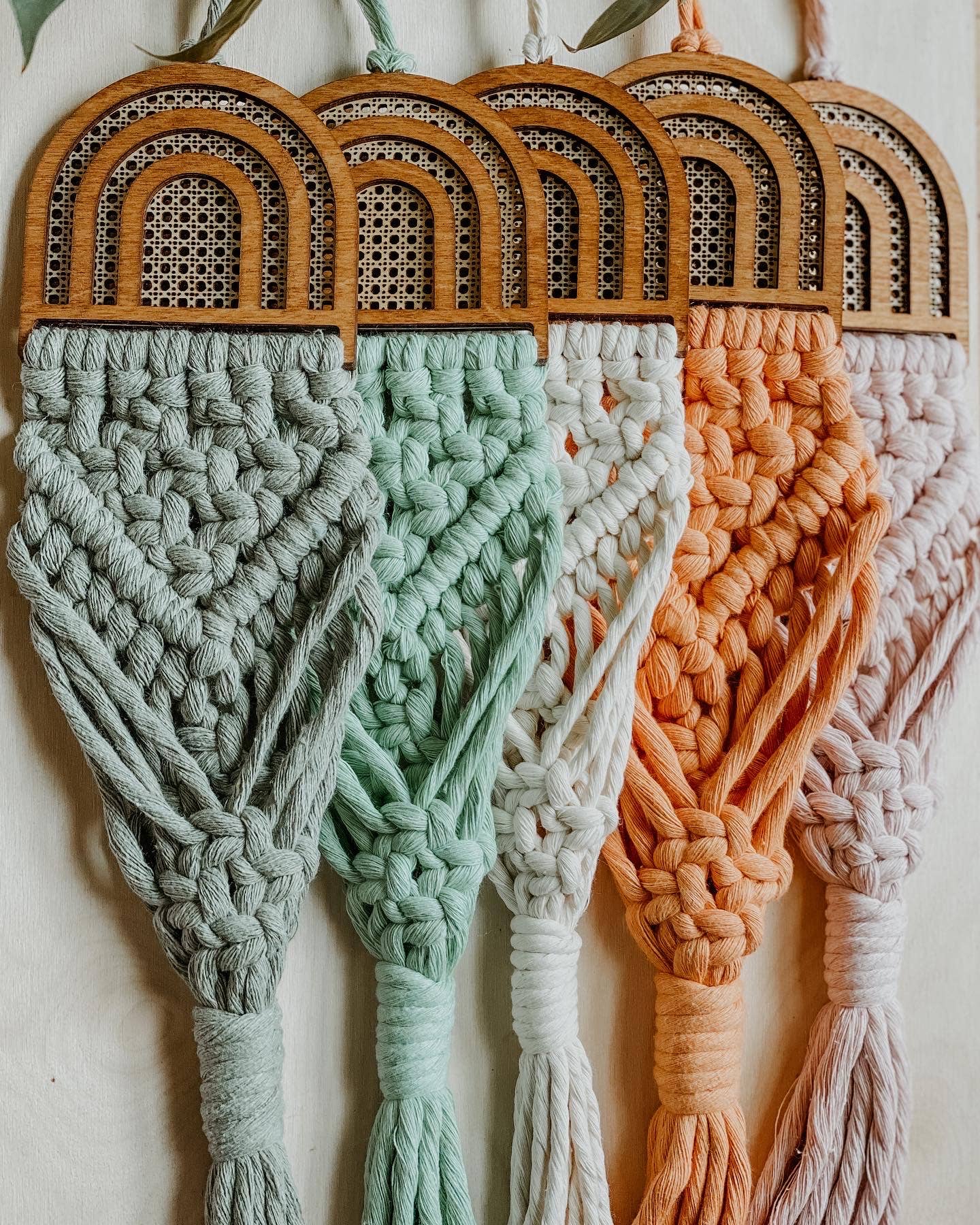 Rattan Air Plant Hangers: Arch / white