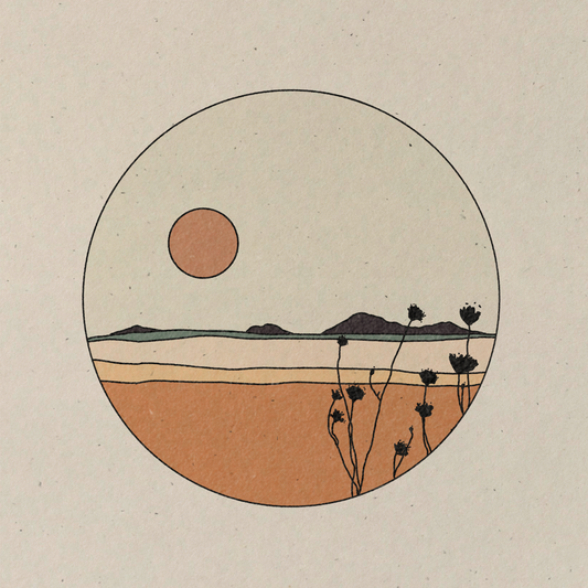Bloom Wildly