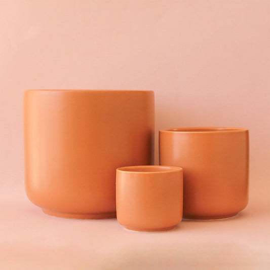 Charlie Pot - Ginger: 4.5 inch