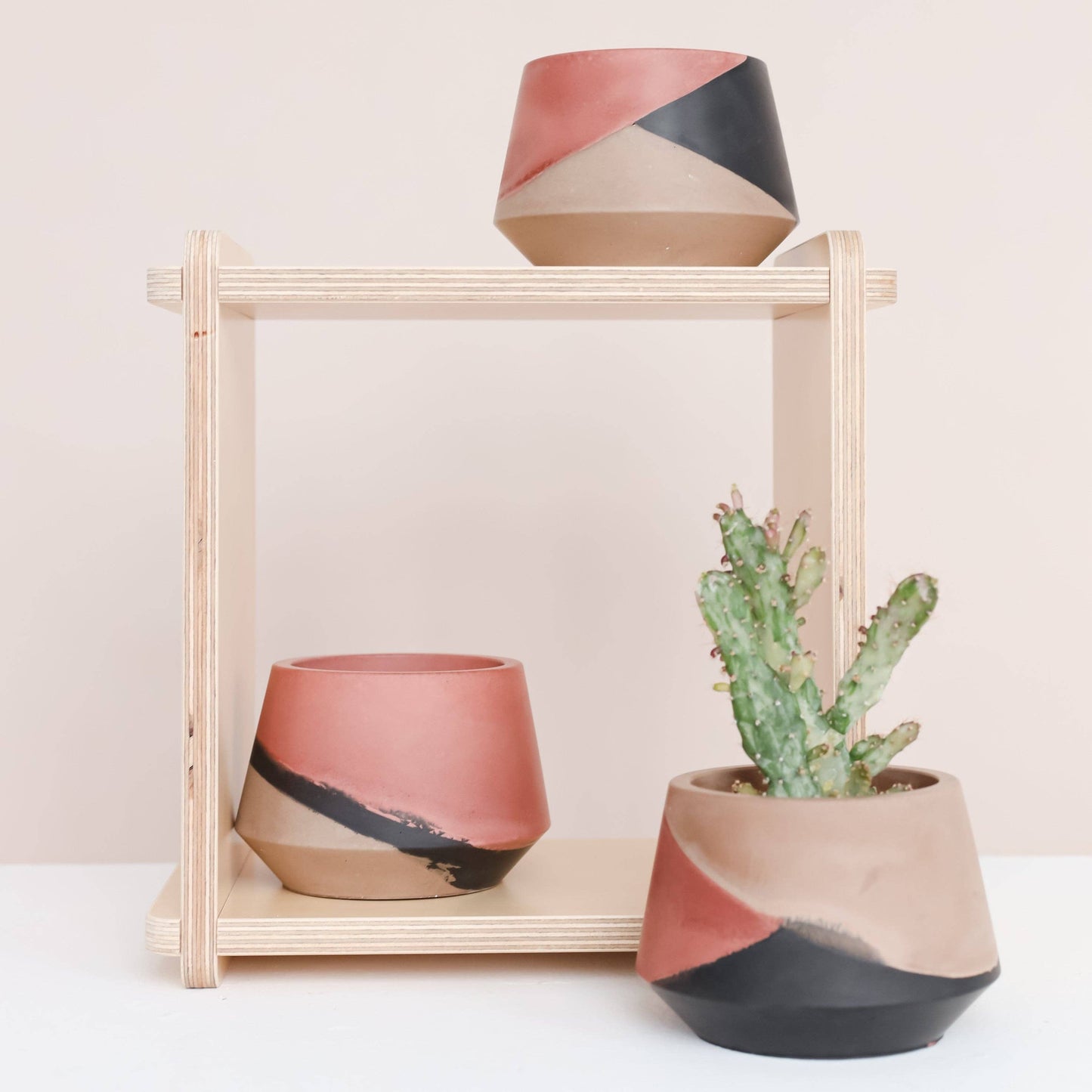 Harper 3 inch - Modernly Neutrals Collection