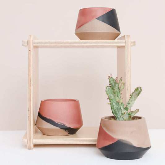 Harper 3 inch - Modernly Neutrals Collection