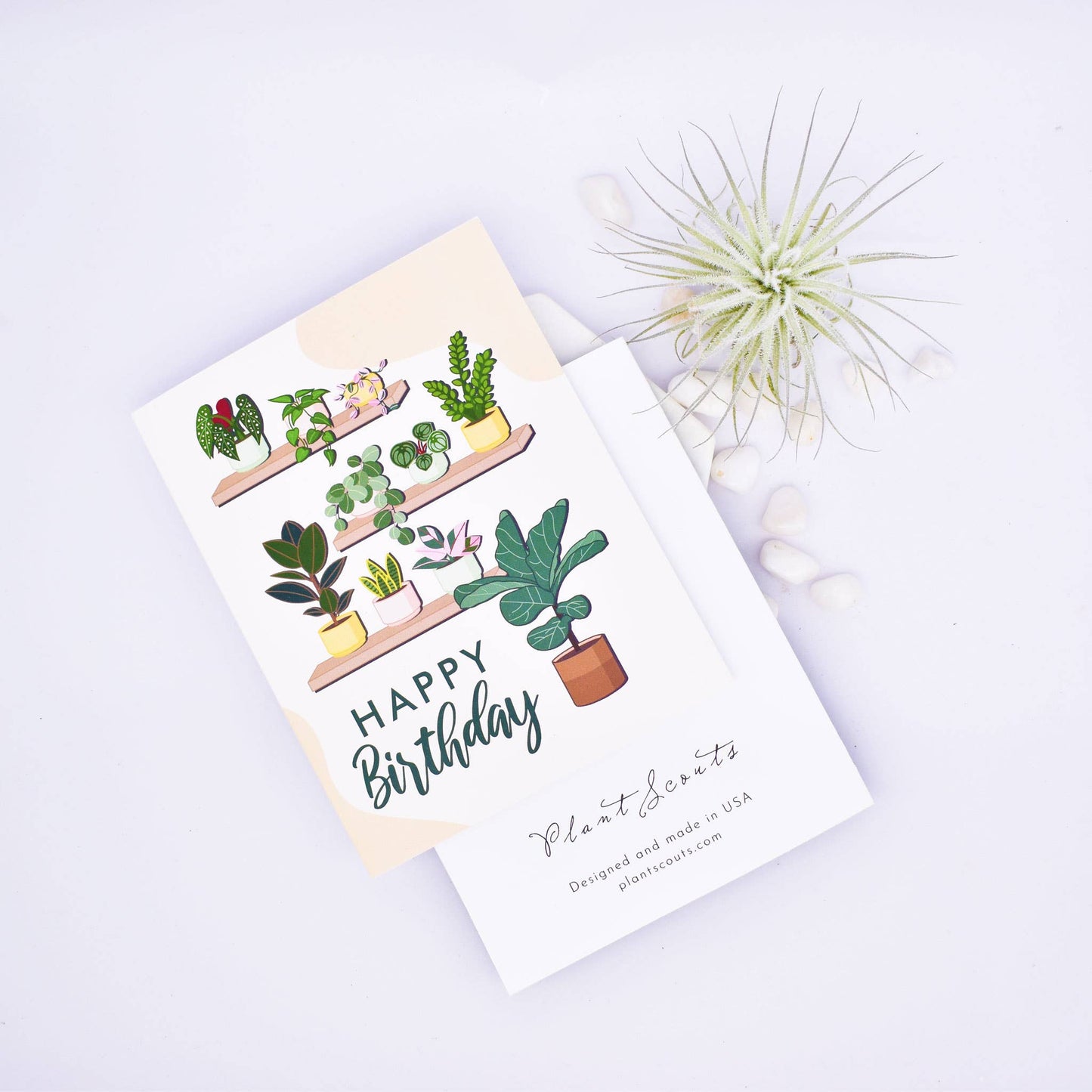 Birthday Greetings Card - Plant Shelf Card