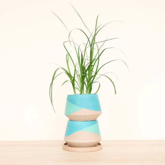 Harper 3 inch - San Juan Collection