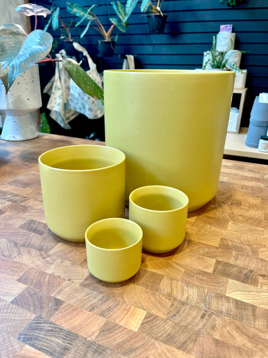 Round Ochre Pot: 4.75" Pot