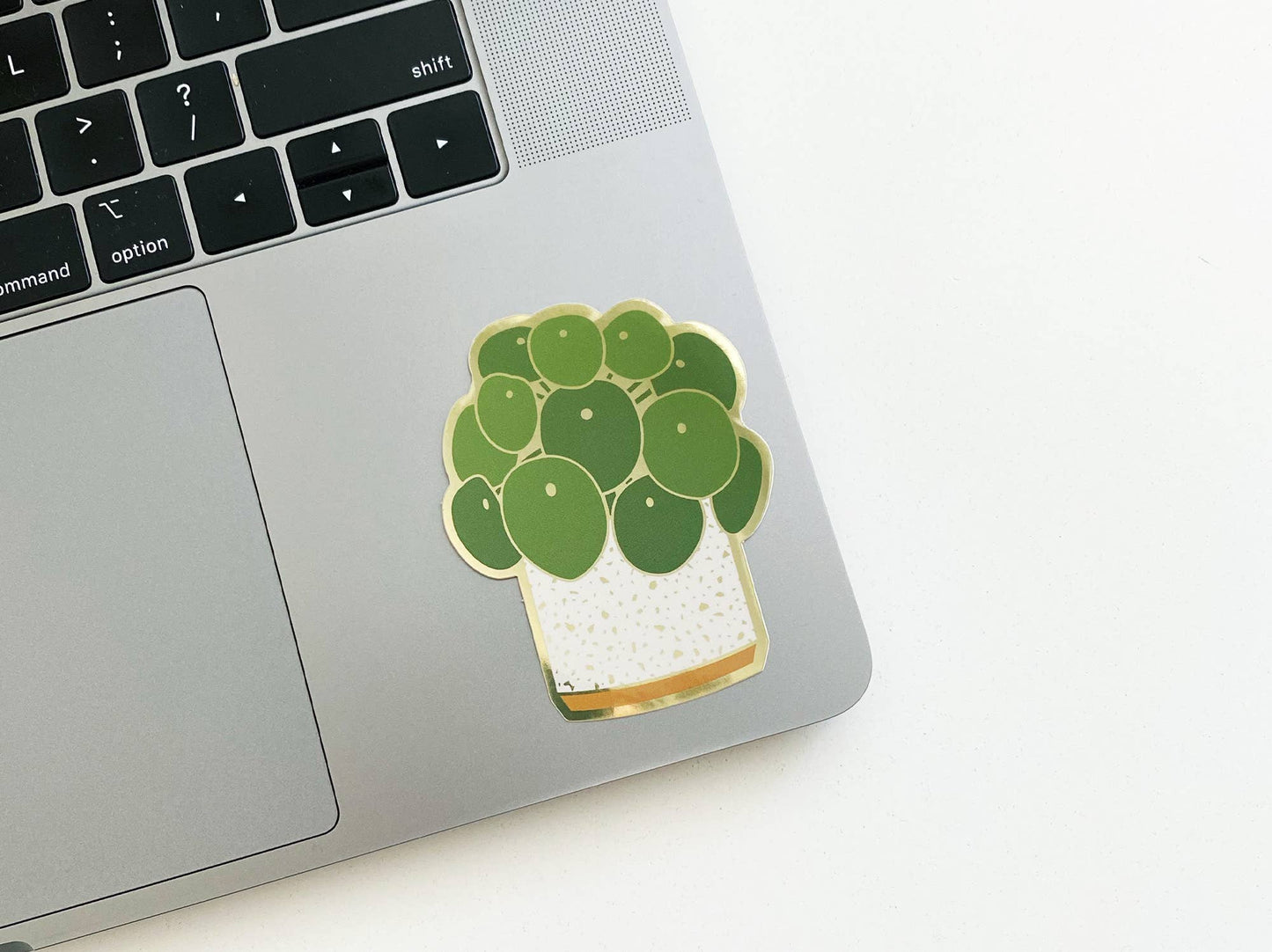 Pilea Sticker