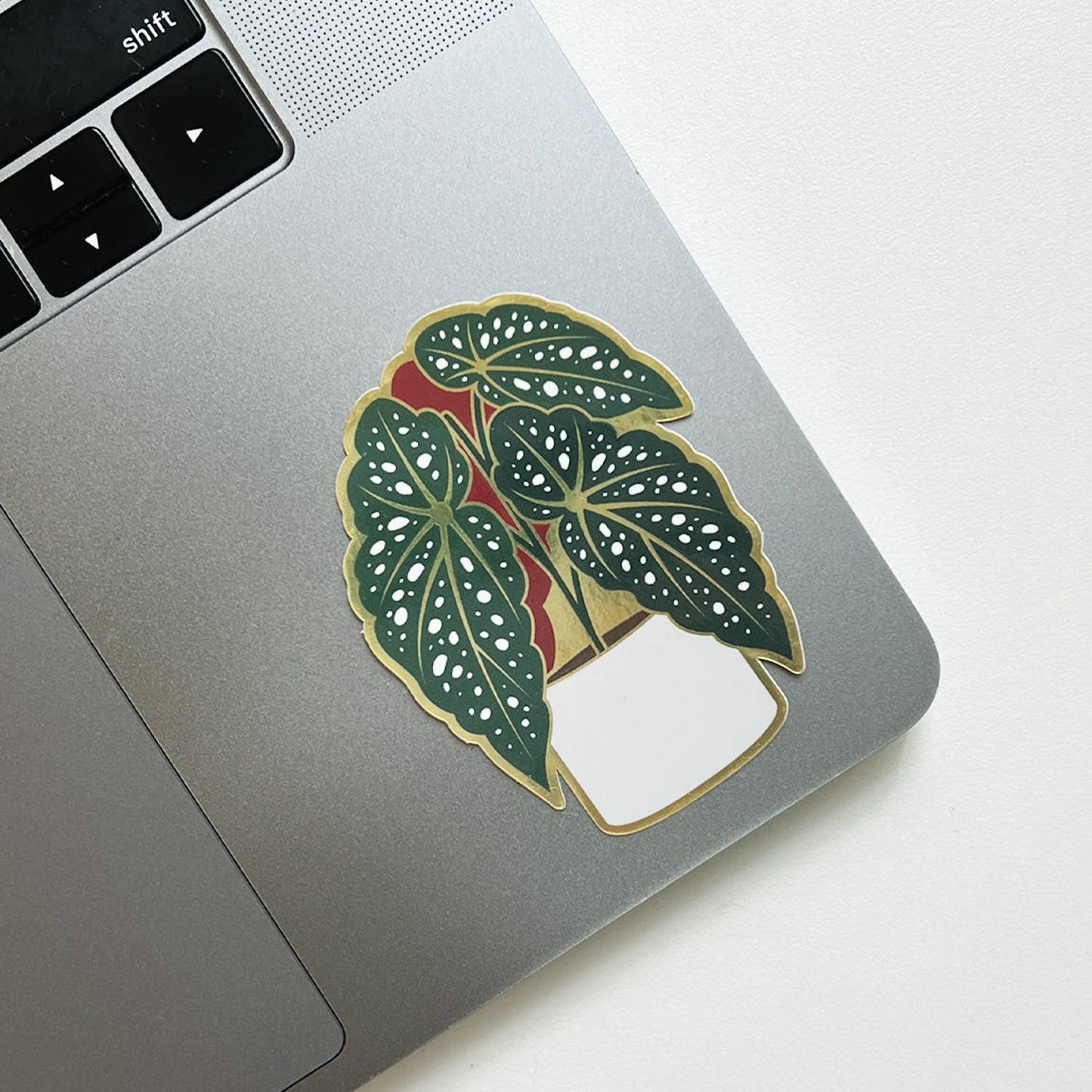 Begonia Sticker