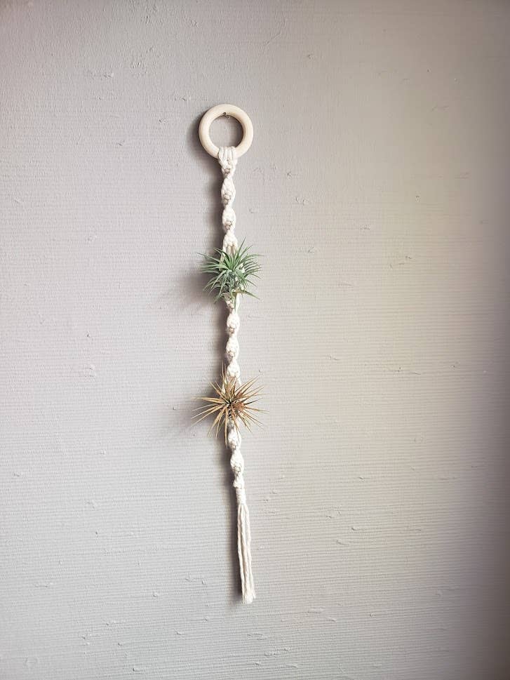 Air Plant Hanger Double Twist - White