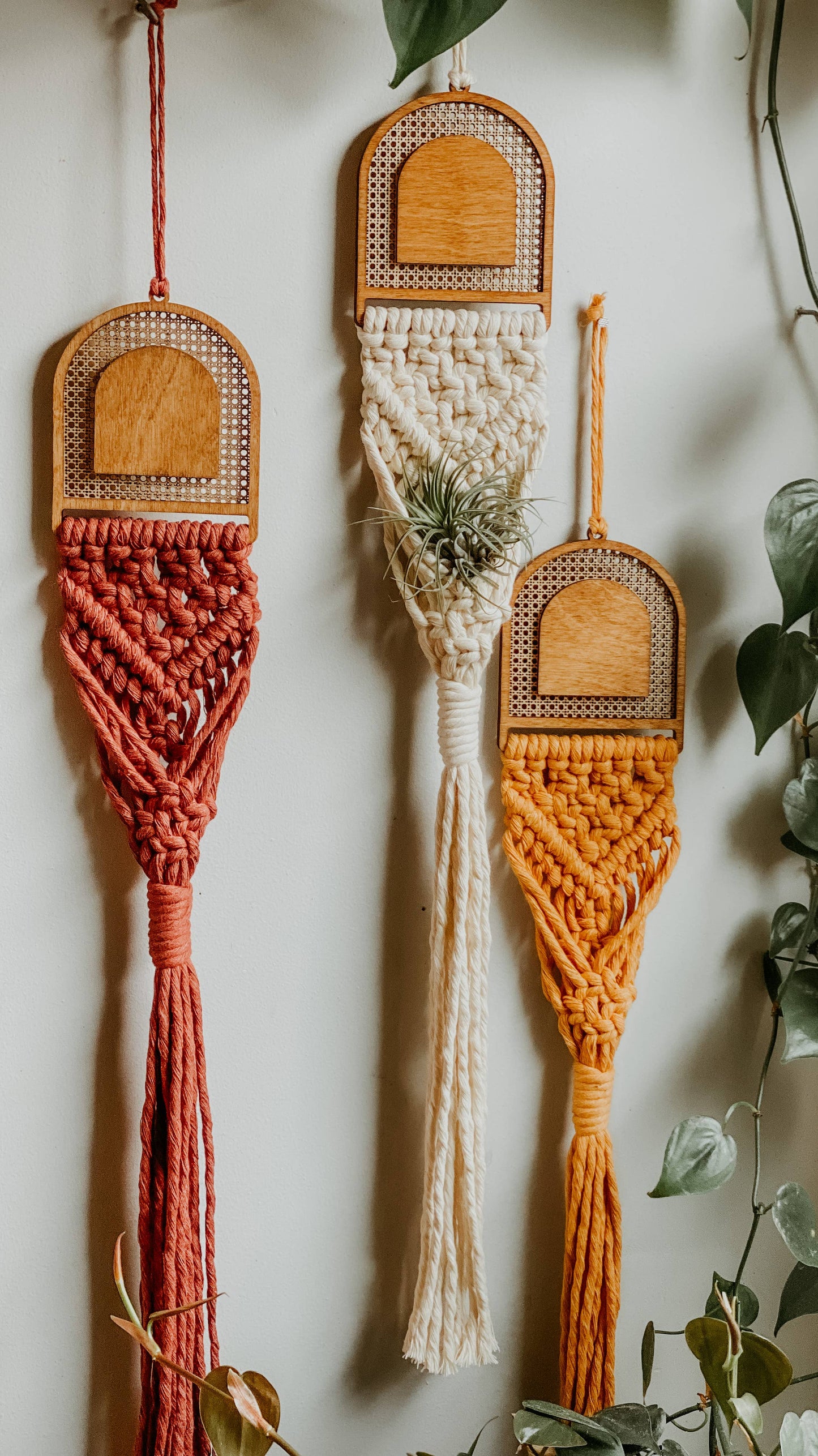 Rattan Air Plant Hangers: Arch / white