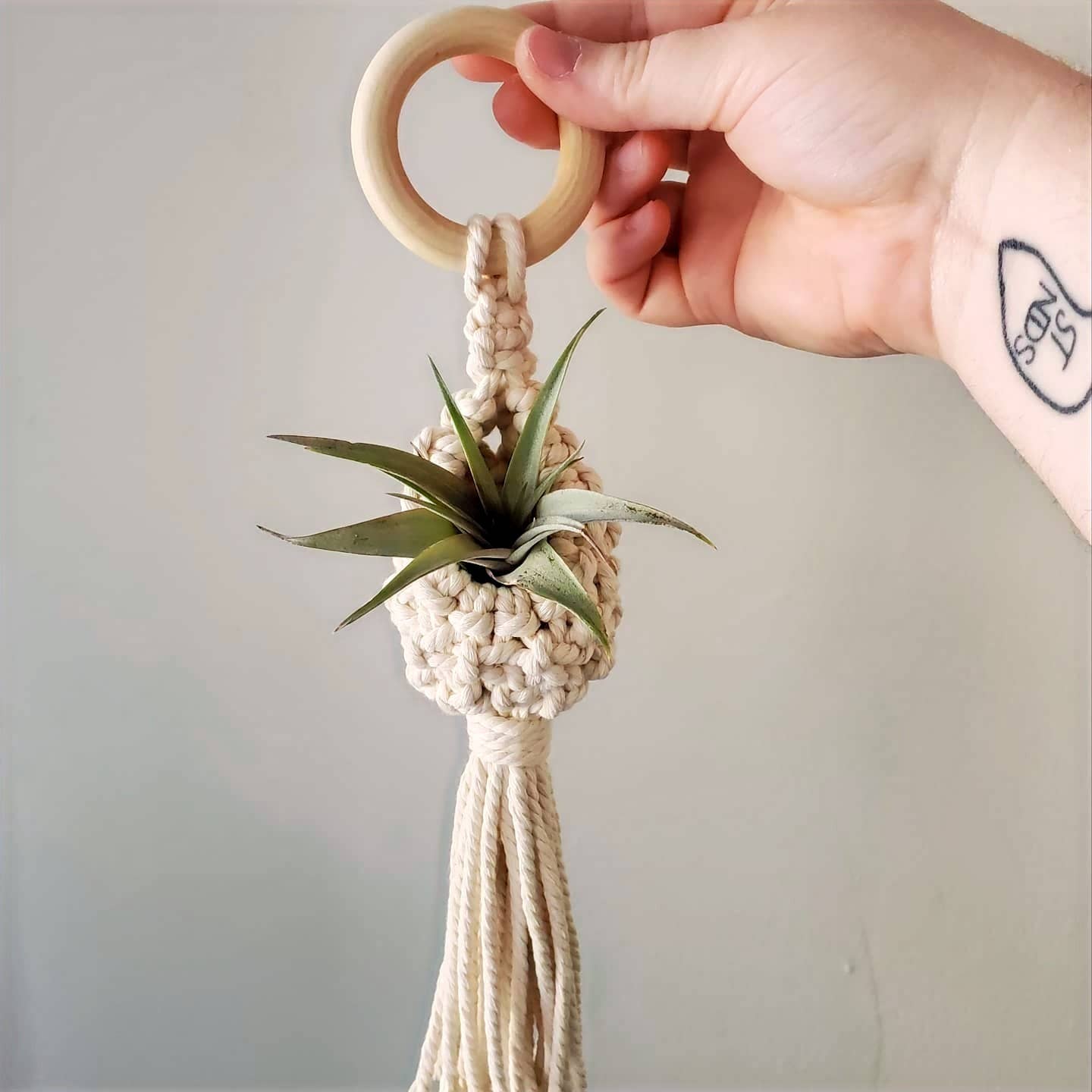 Macrame Air Plant Pod with Air Plant