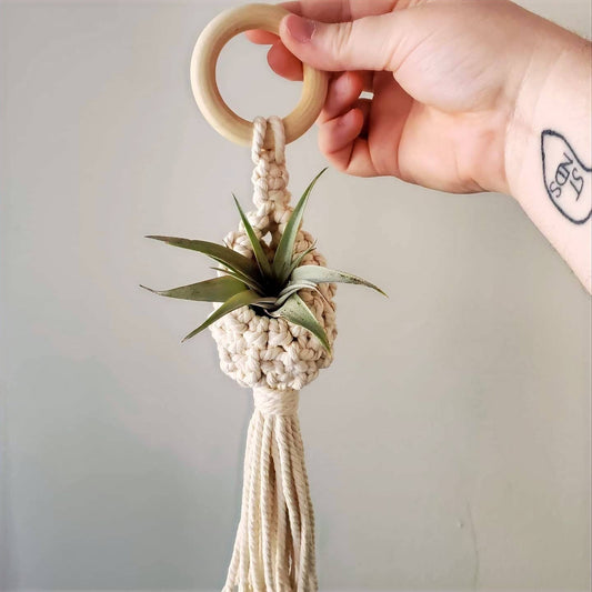 Macrame Air Plant Pod with Air Plant
