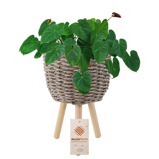Plant Pot Woven  Basket Indoor Planters Decorative Planter
