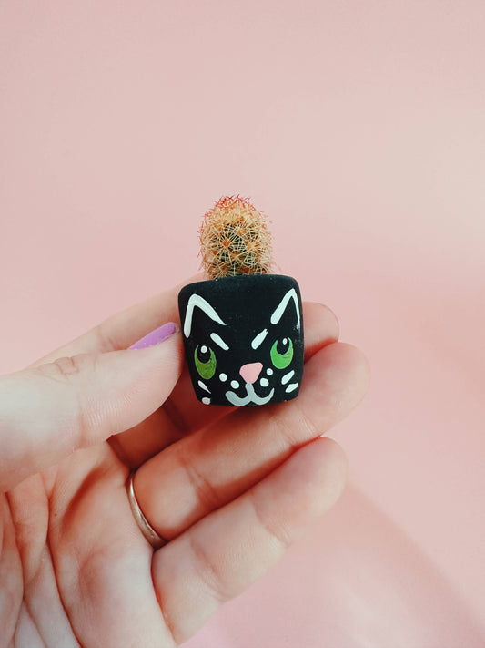 Black Cat Mini Planter with Cactus